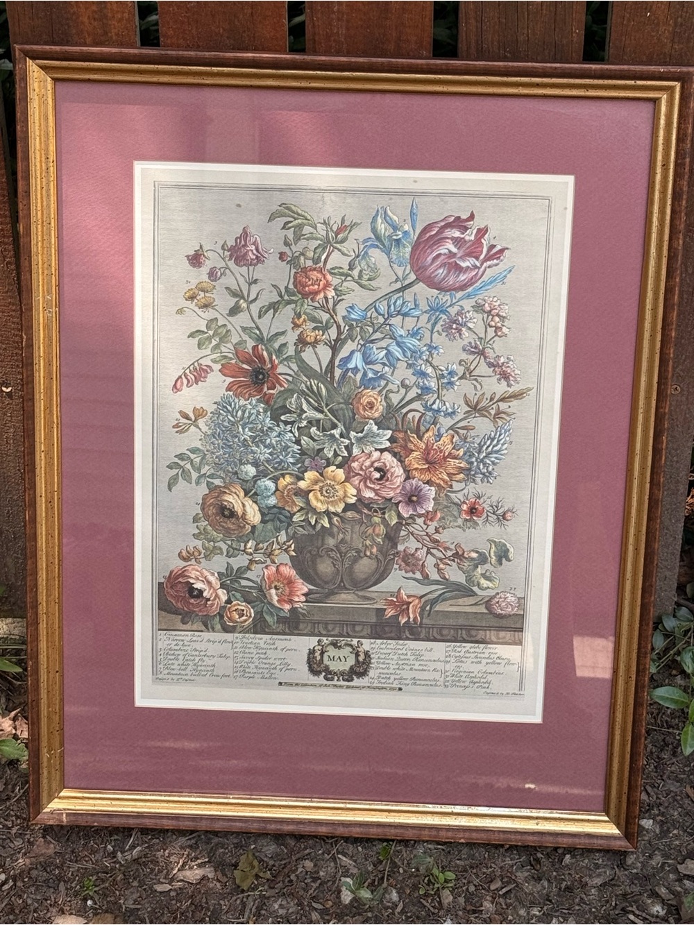 Robert Furber MAY Vintage Botanical Print - Pink Mat— 16” x 20”
